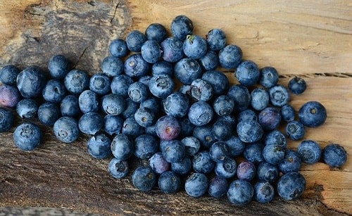 زغال‌اخته آبی (Blueberry)