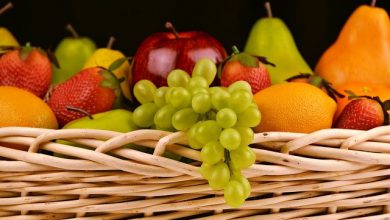 تصویر از میوه ها و سبزیجات را سگها می توانند بخورند یا نمی توانند؟