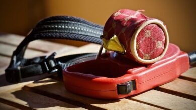 تصویر از خرید قلاده برای سگ و گربه