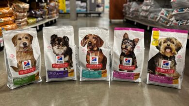 تصویر از معرفی و راهنمای خرید محصولات برند Hill’s Science Diet